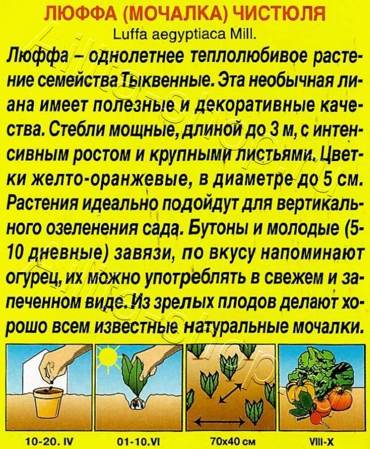 Люффа (мочалка) Чистюля 20шт