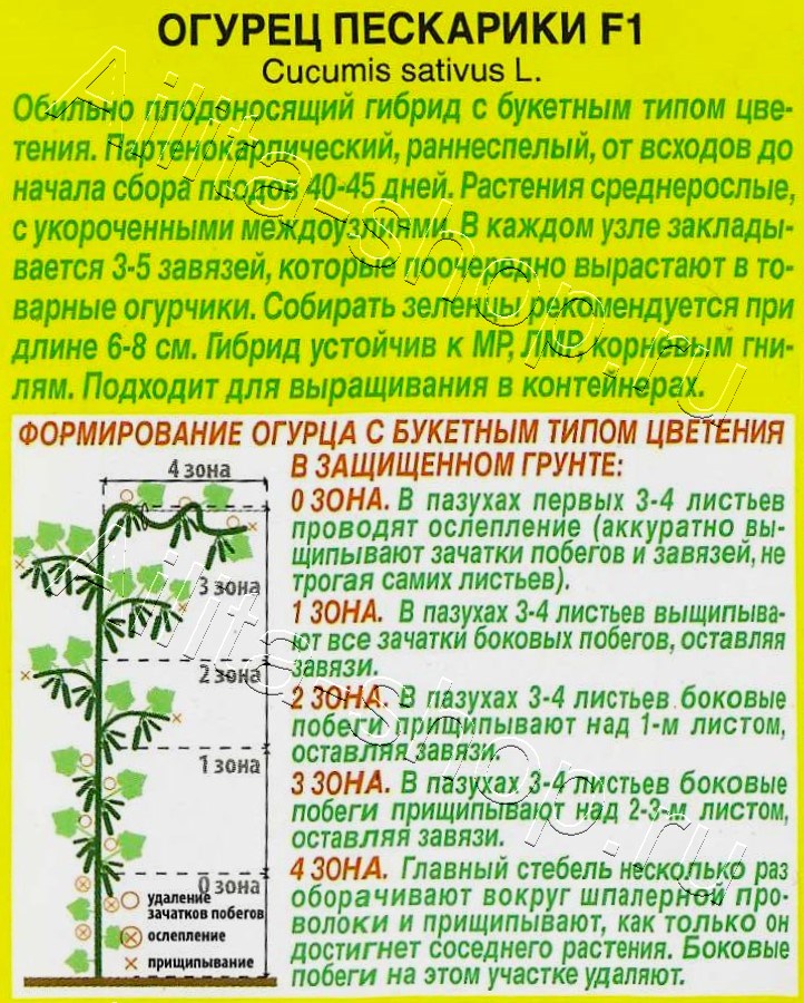 Огурец Пескарики F1 10шт