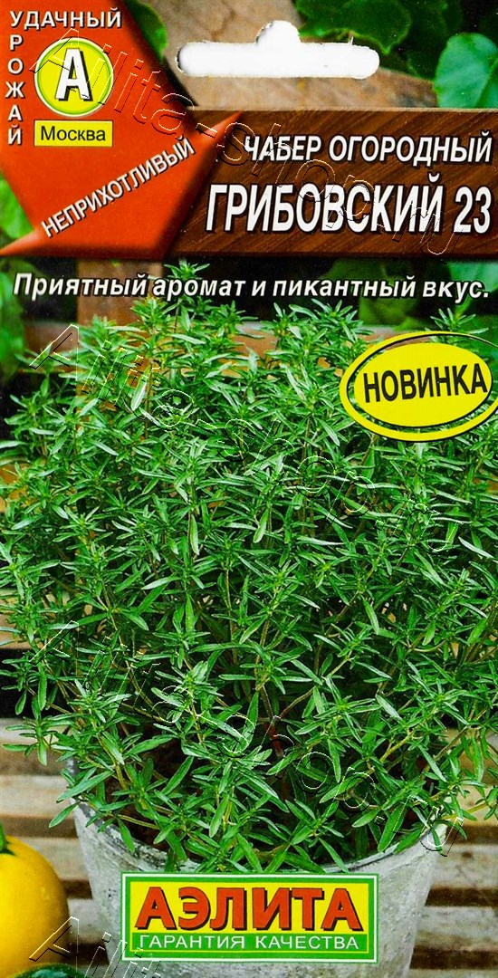 Чабер огородный Грибовский 23 0,2г