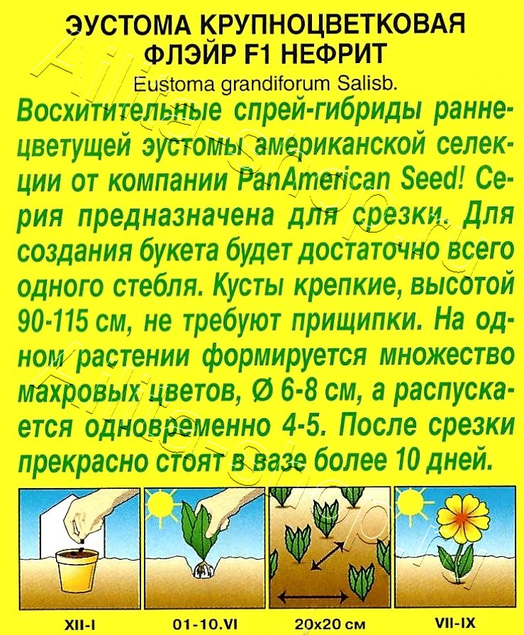 Эустома Флэйр F1 нефрит 5шт