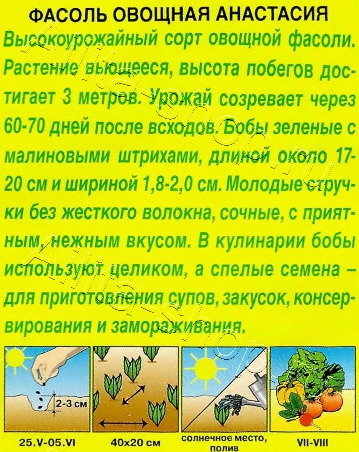 Фасоль овощная Анастасия 5г