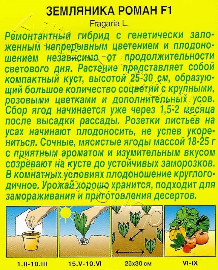 Земляника ремонтантная крупноплодная Роман F1 5шт