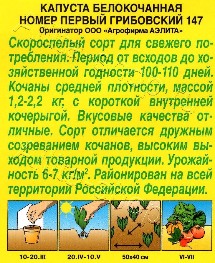 Капуста белокочанная Номер первый Грибовский 147 0,5г