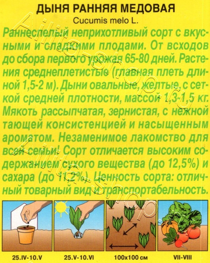 Дыня Ранняя медовая 1г