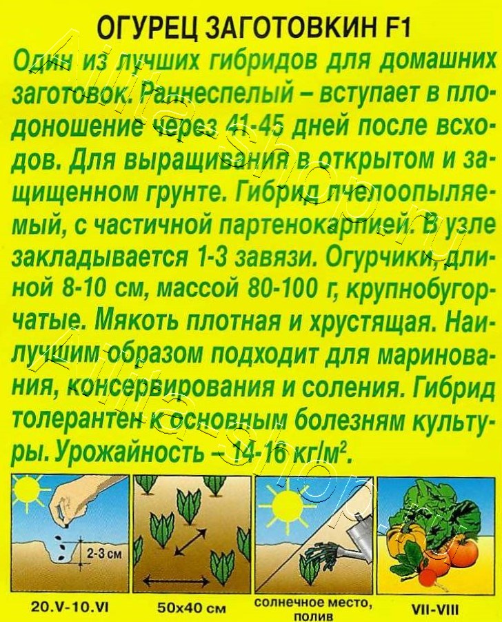 Огурец Заготовкин F1 10шт