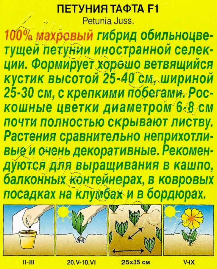 Петуния Тафта F1 обильноцветущая махровая 5шт