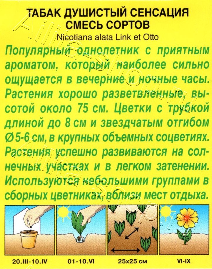 Табак Сенсация, смесь окрасок 0,3г