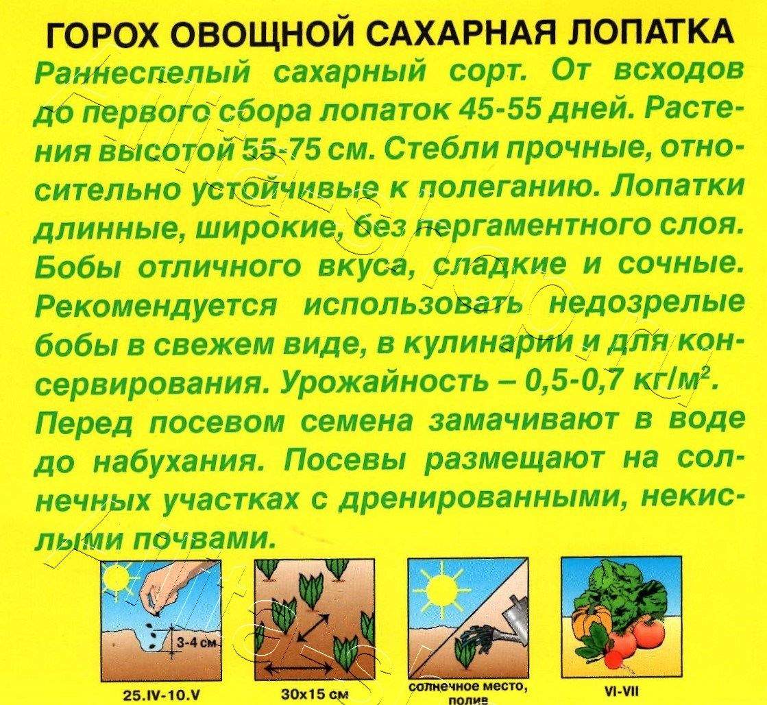 Горох овощной Сахарная лопатка 25г