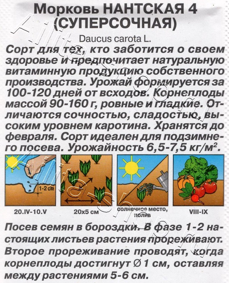 Морковь Нантская 4 (суперсочная) 2г