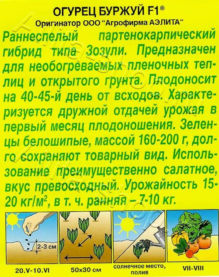 Огурец Буржуй F1 10шт