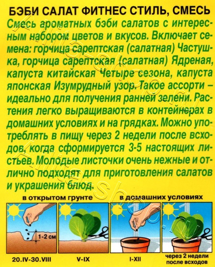 Бэби салат Фитнес стиль, смесь 0,5г