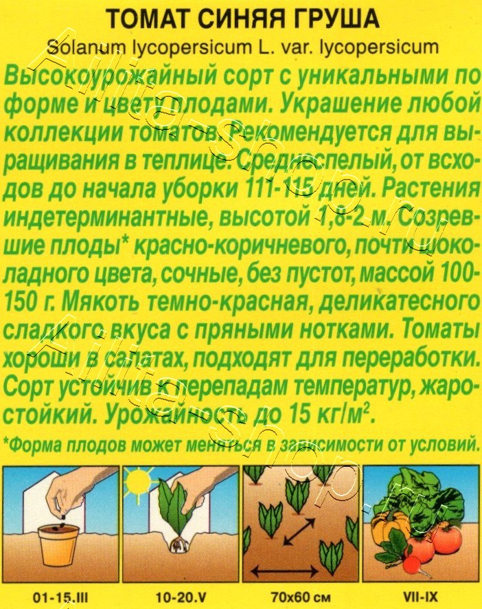 Томат Синяя груша 15шт