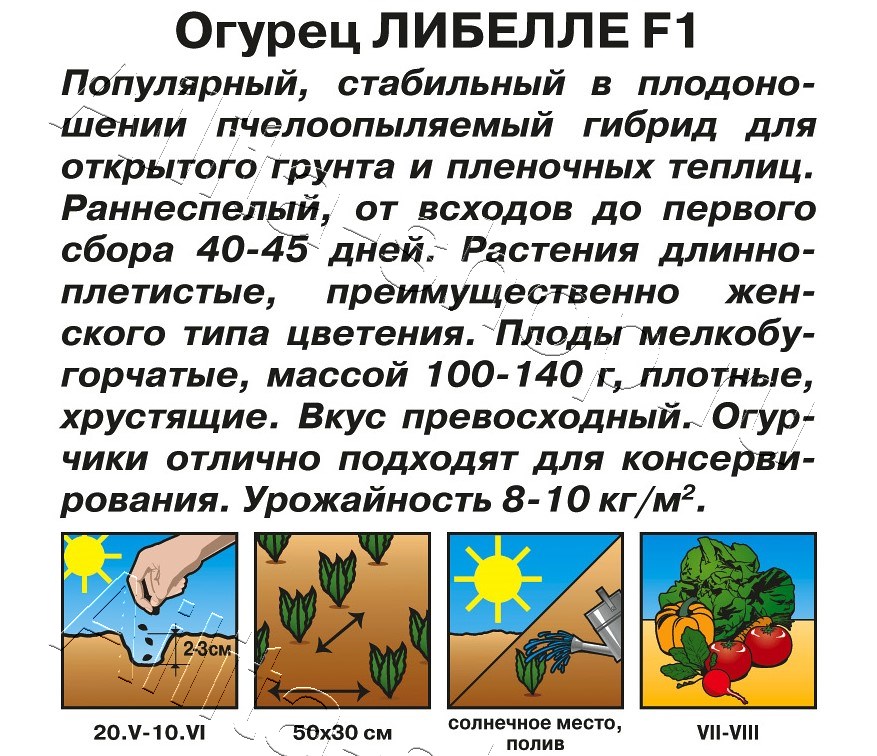 Огурец Либелле F1 10шт