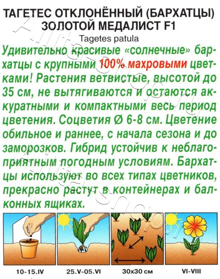 Бархатцы Золотой медалист F1 10шт