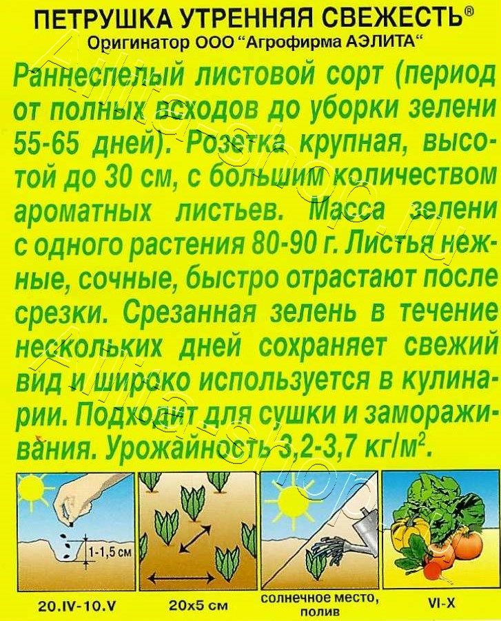 Петрушка листовая Утренняя свежесть 2г