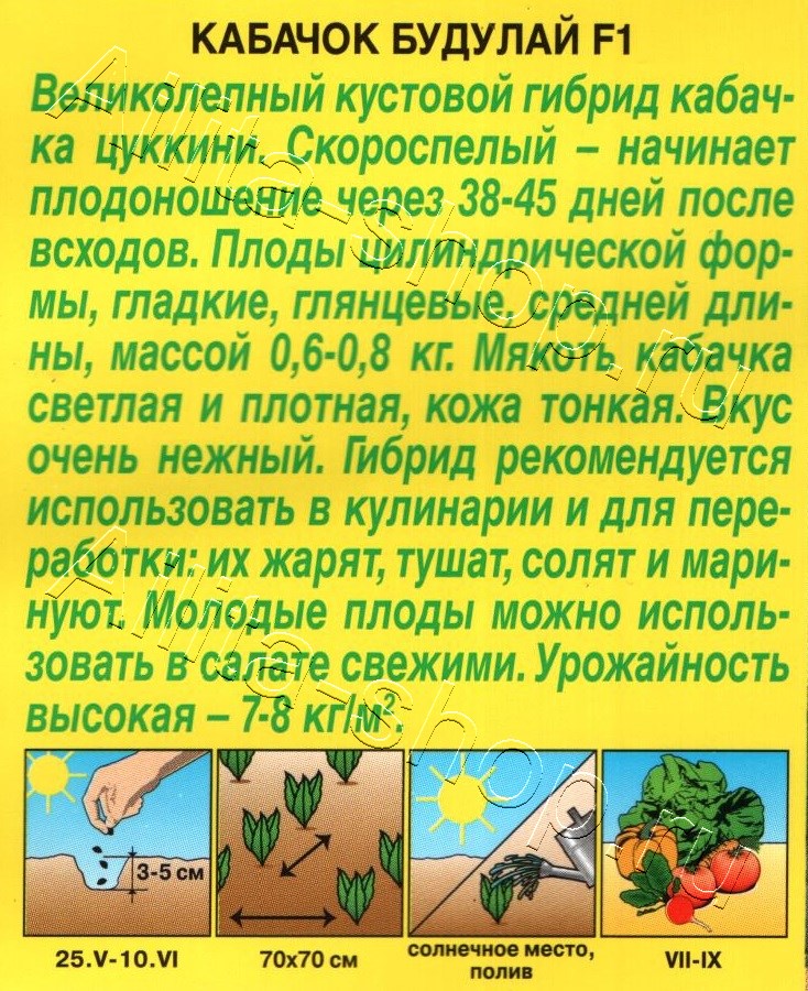 Кабачок цуккини Будулай F1 1г