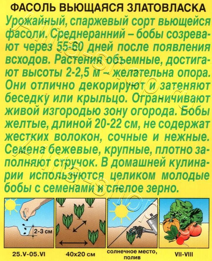 Фасоль вьющаяся Златовласка 5г