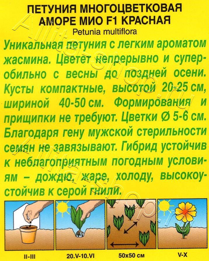 Петуния Аморе Мио красная F1 7шт