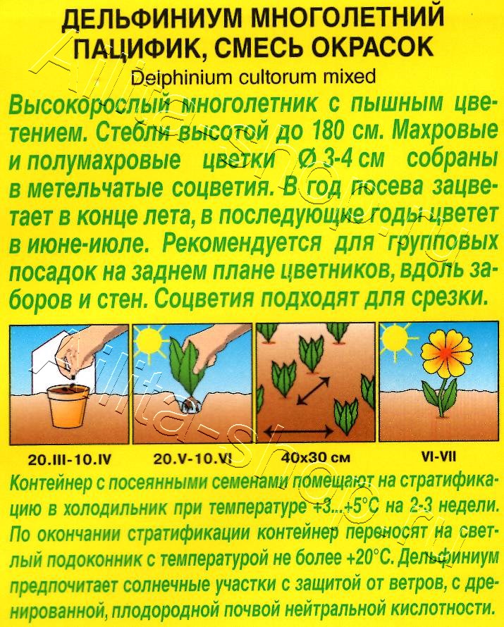 Дельфиниум Пацифик, смесь сортов 25шт