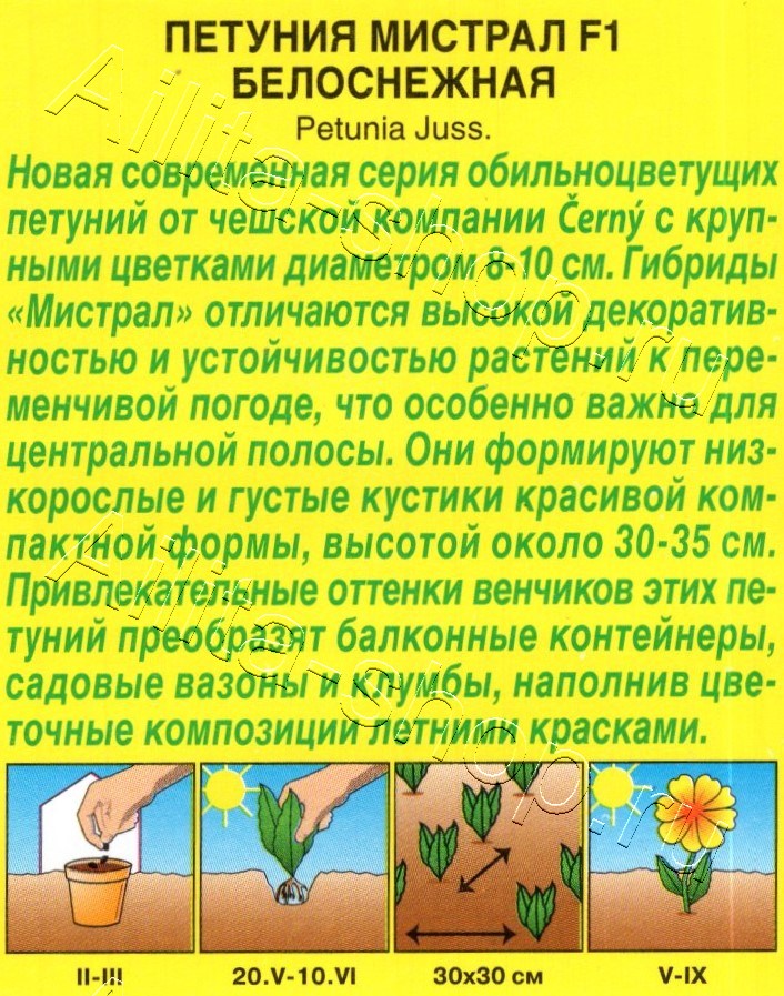 Петуния Мистрал F1 белоснежная крупноцветковая 7шт