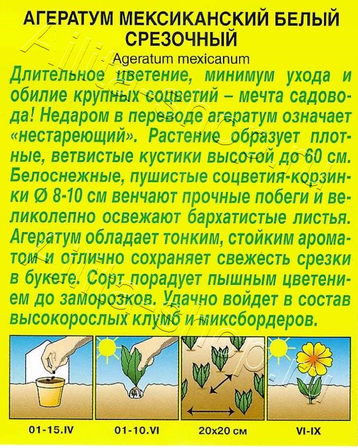 Агератум срезочный белый 0,05г