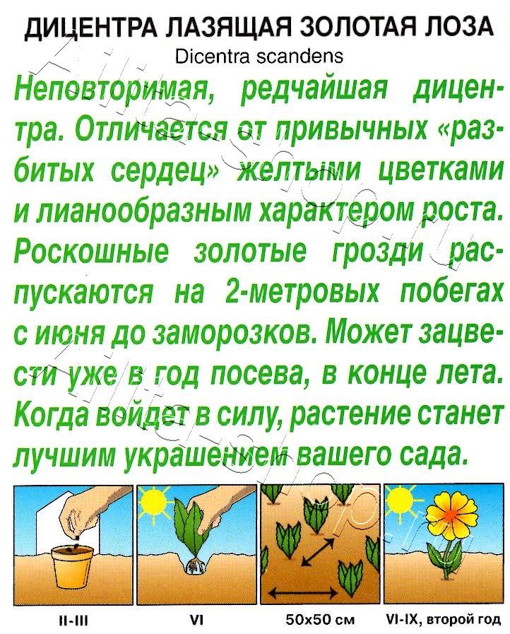 Дицентра Золотая лоза 5шт