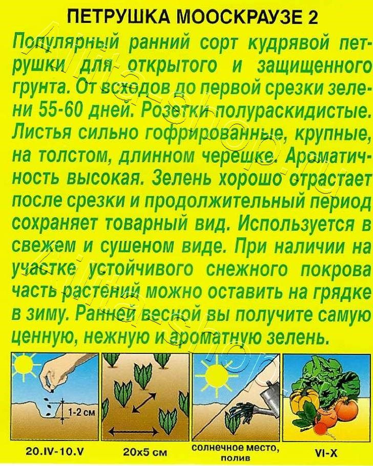 Петрушка кудрявая Мооскраузе 2 2г