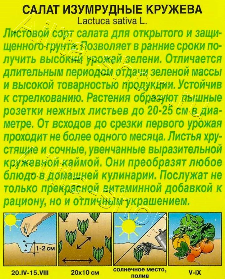 Салат Изумрудные кружева 0,1г