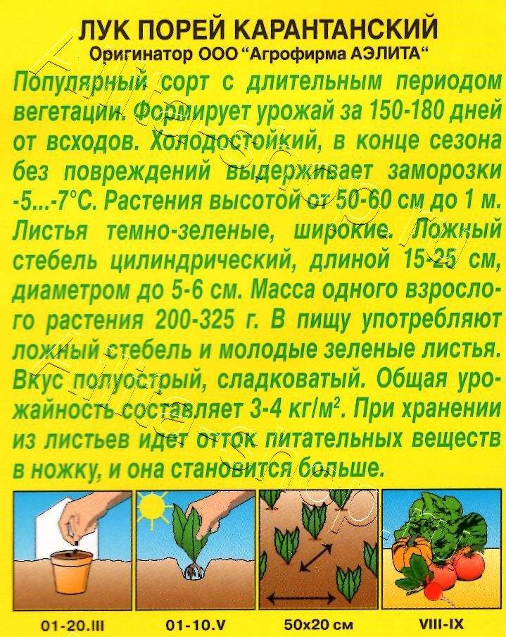 Лук порей Карантанский 1г