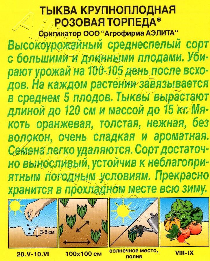 Тыква крупноплодная Розовая торпеда 1г