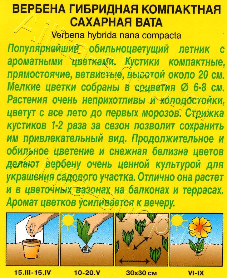 Вербена Сахарная вата 20шт