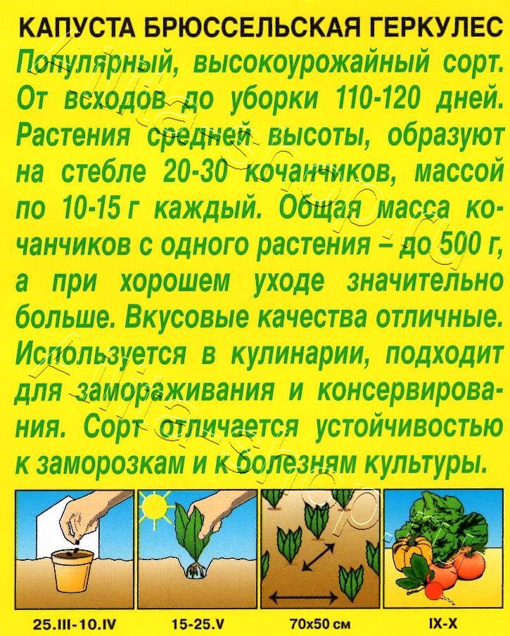 Капуста брюссельская Геркулес 0,3г