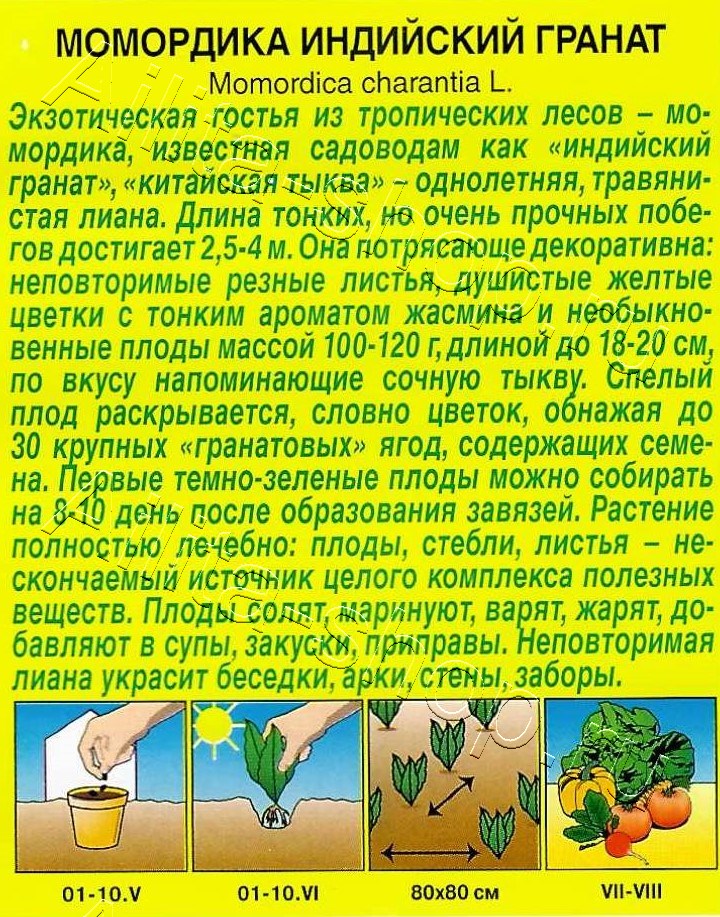 Момордика Индийский гранат 5шт