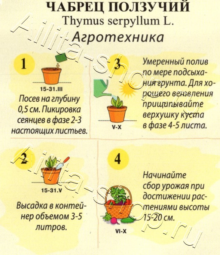 Чабрец Ползучий 0,04г