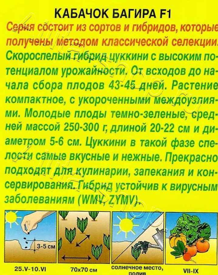 Кабачок цуккини Багира F1 5шт