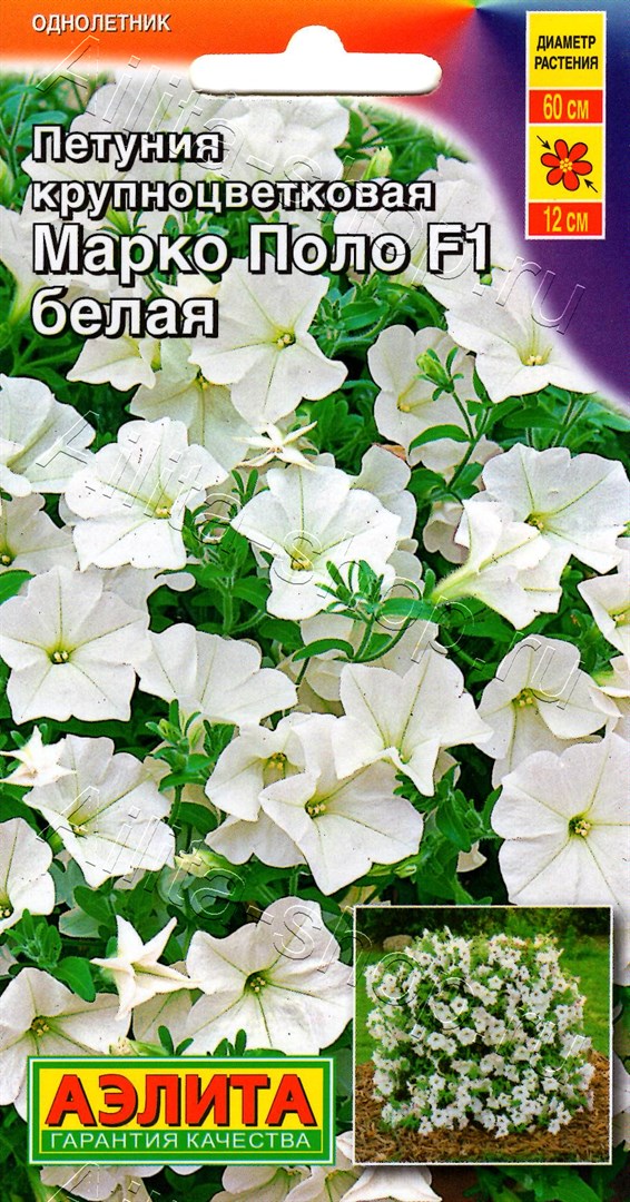 Петуния Марко Поло F1 белая 7шт