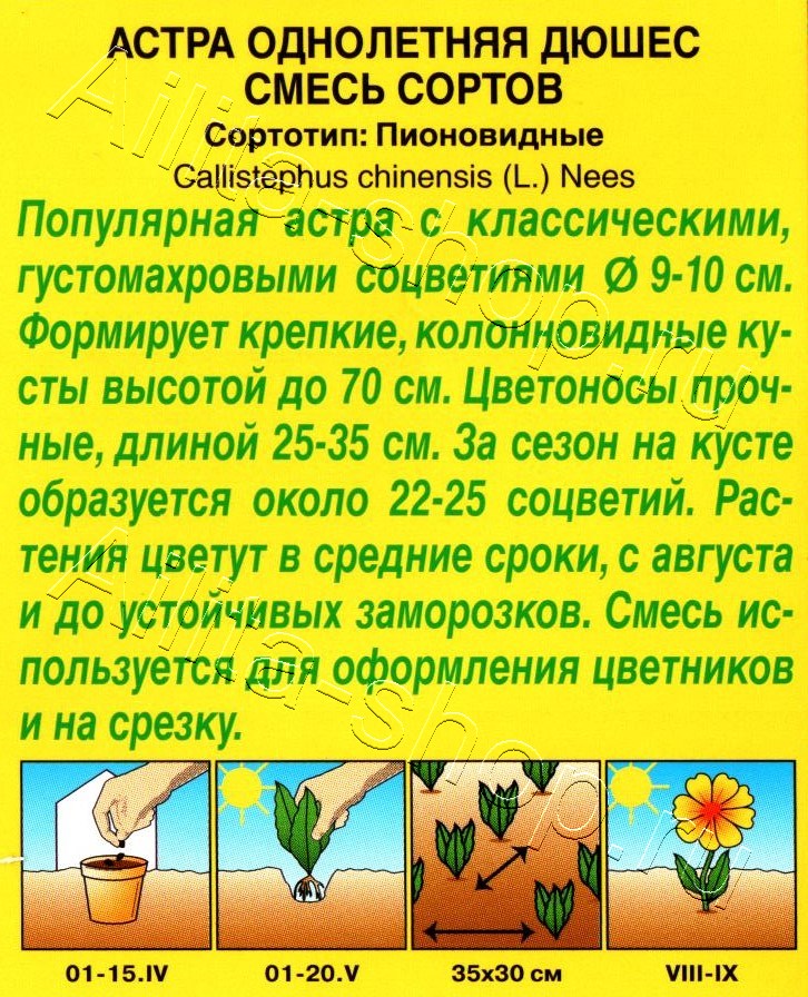 Астра Дюшес, смесь окрасок 0,2г