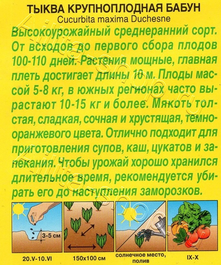 Тыква крупноплодная Бабун 1г