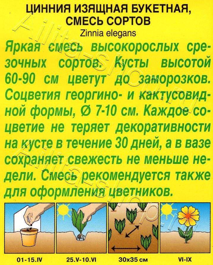 Цинния Букетная, смесь сортов 0,5г