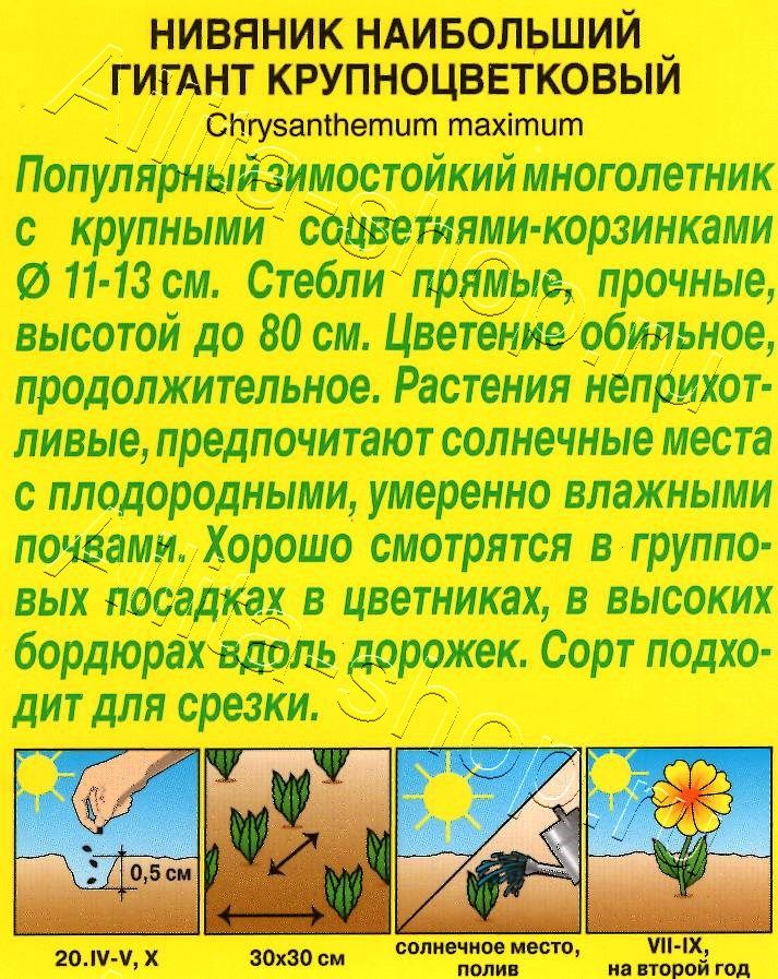 Нивяник крупноцветковый Гигант 0,5г