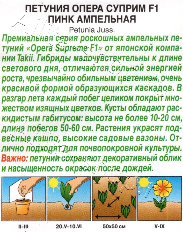 Петуния Опера суприм F1 пинк ампельная 4шт