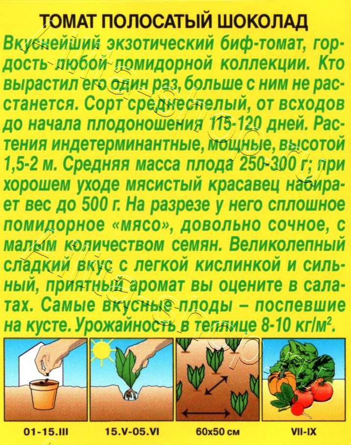 Томат Полосатый шоколад 20шт