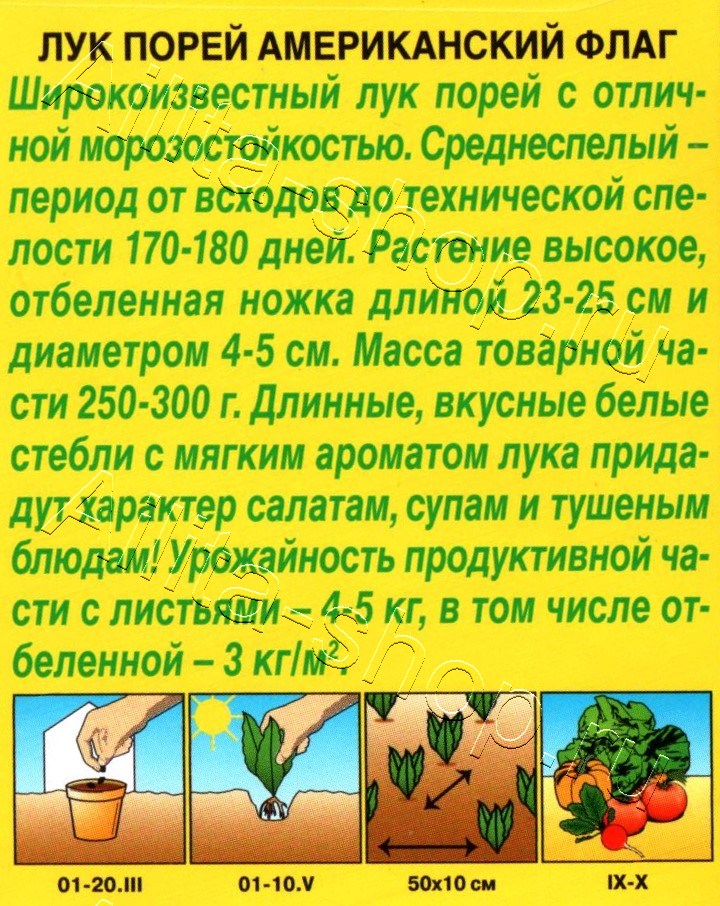 Лук порей Американский флаг 1г