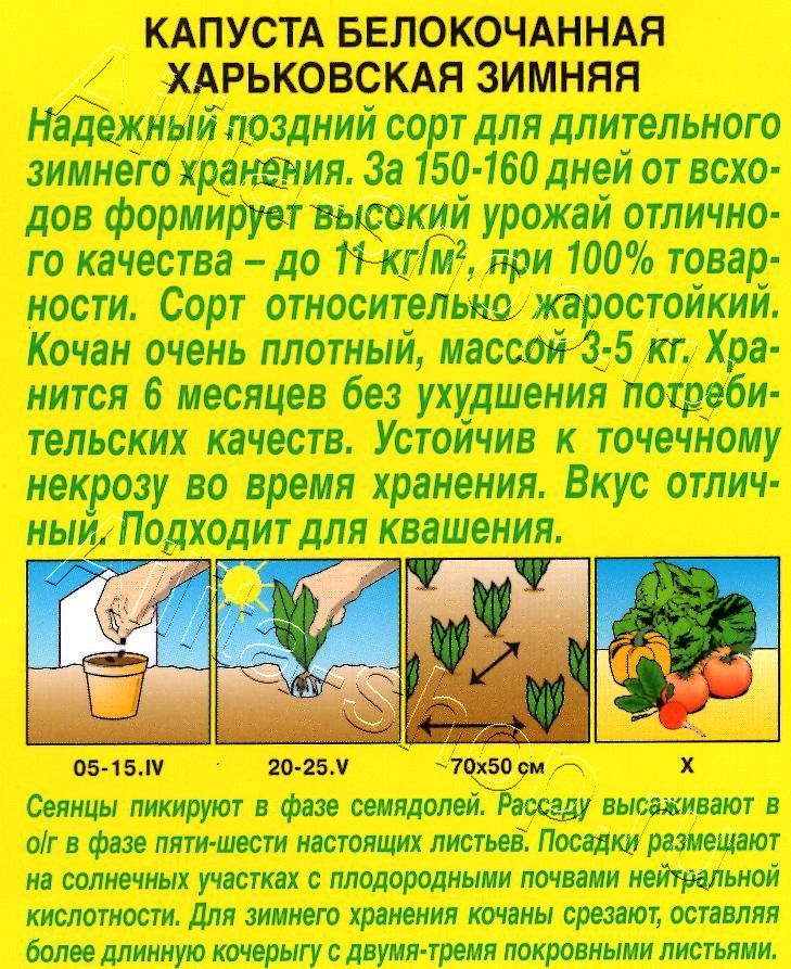 Капуста белокочанная Харьковская зимняя 0,5г