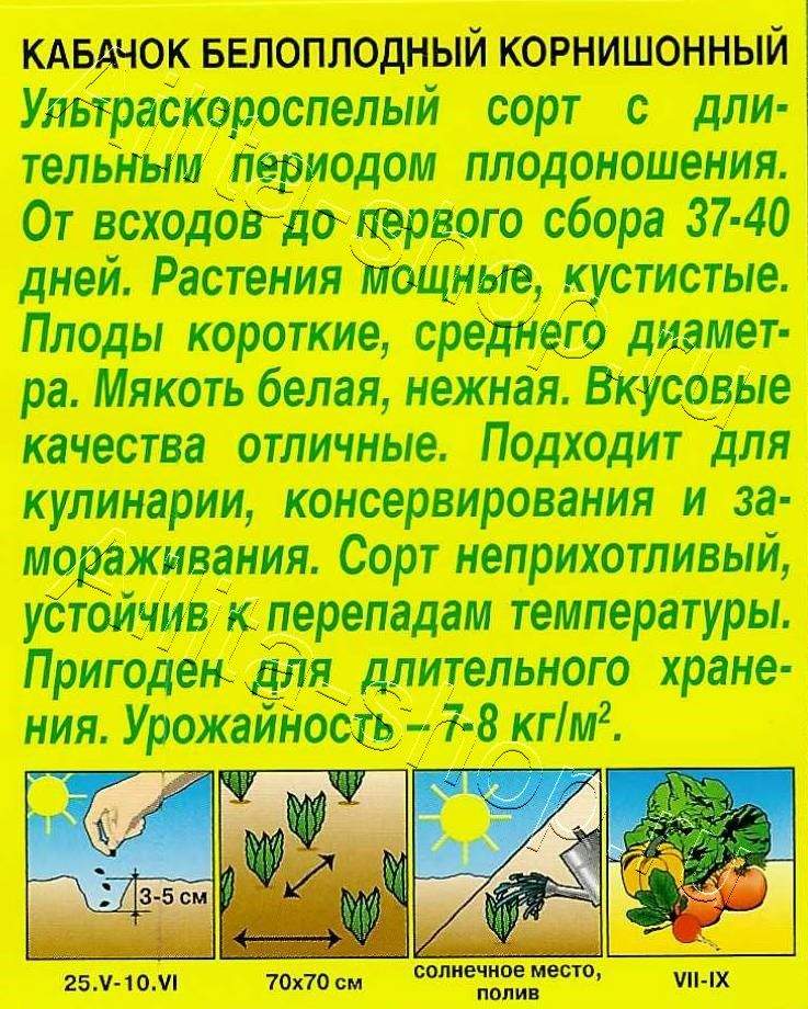 Кабачок белоплодный Корнишонный 1г