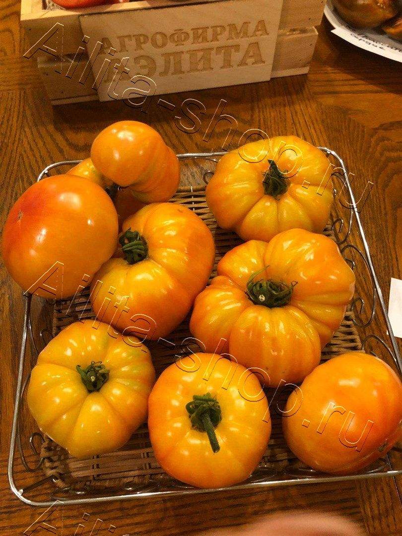 Томат Диво-дивное 0,2г