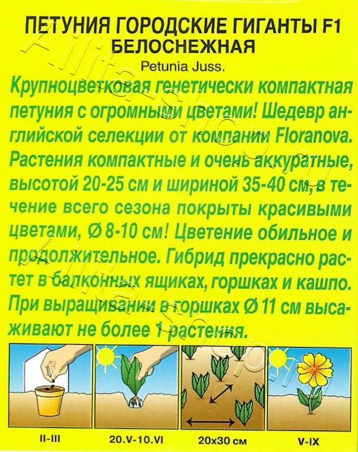 Петуния Городские гиганты F1 белоснежная 7шт