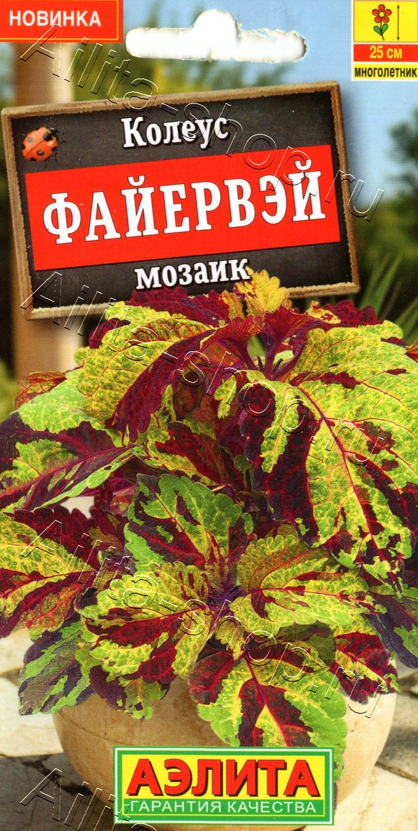 Колеус Файервэй мозаик 5шт
