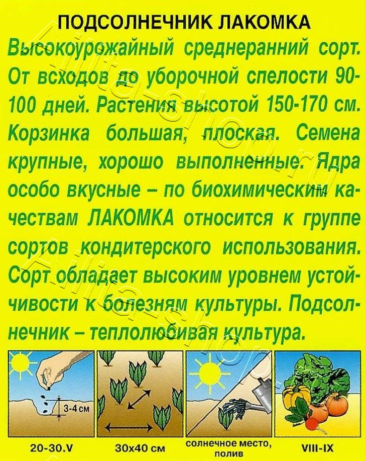 Подсолнечник Лакомка 5г