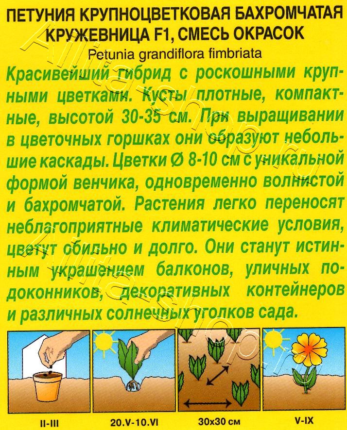 Петуния Кружевница F1 крупноцветковая бахромчатая, смесь сортов 7шт
